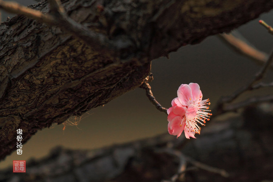 【xiongmao体育】Waymo的“面壁者”,他们仍继续改变着世界(二)丨亿欧观点(图2) panda sports