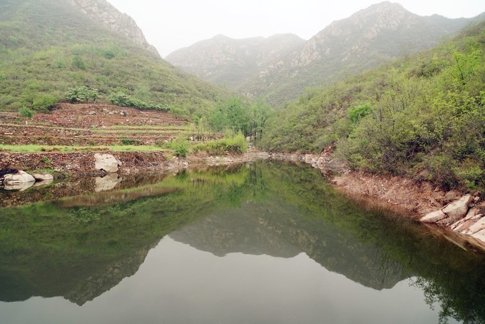中国(陕西)—尼日利亚汽配企业线上对接会举行_熊猫体育(图2) 熊猫体育