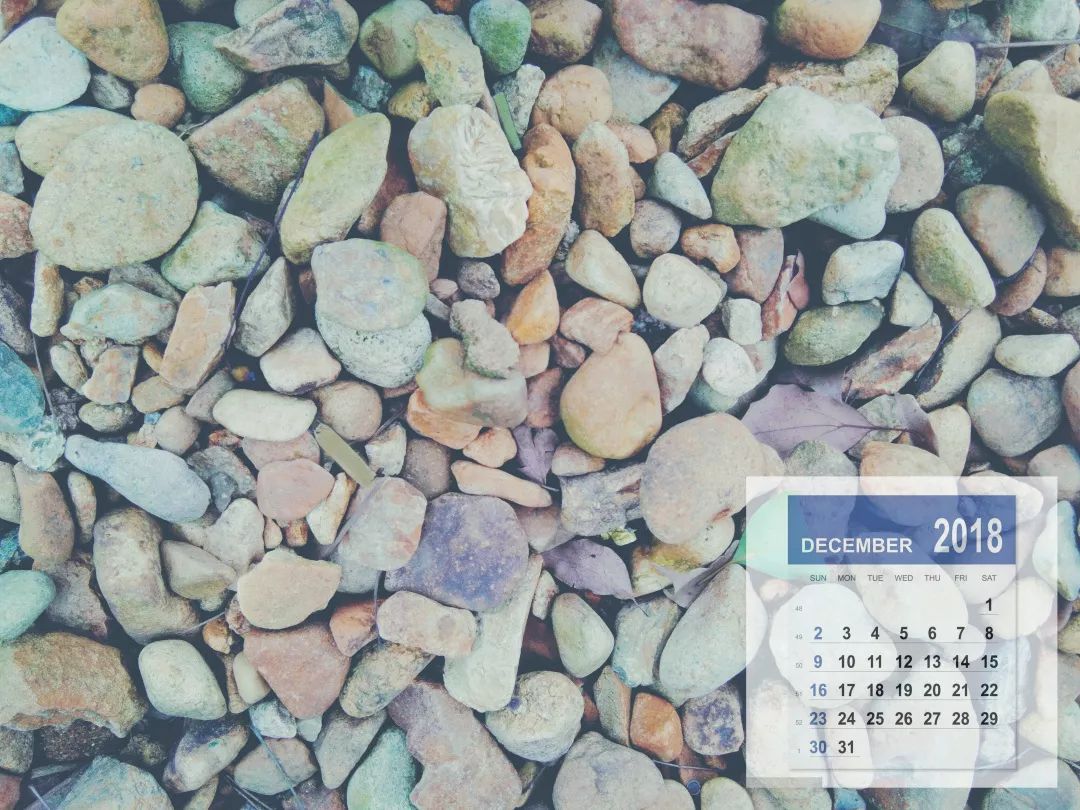 马布里:能当上中国男篮助教会是我的荣幸 主帅应是中国人_熊猫体育(图3) panda sports