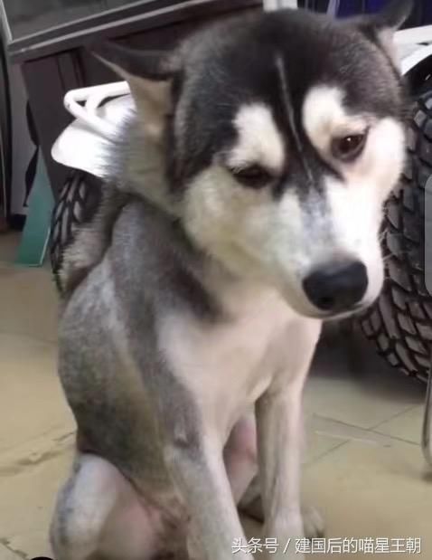 熊猫体育:百度Apollo使用安森美图像传感器(图2) xiongmao体育