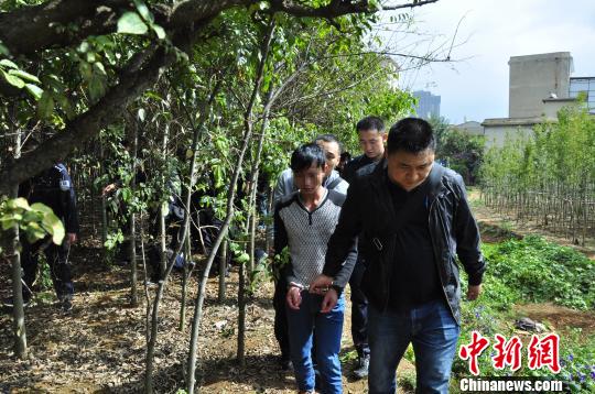 【熊猫体育】LED照明为什么能统治家居照明?(图2) 熊猫体育