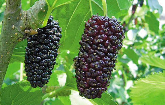 xiongmao体育|用夹具偏置、刀补等方法,可以挽回不少加工误差(图4) 熊猫体育